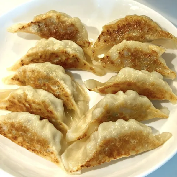 gyoza pollo